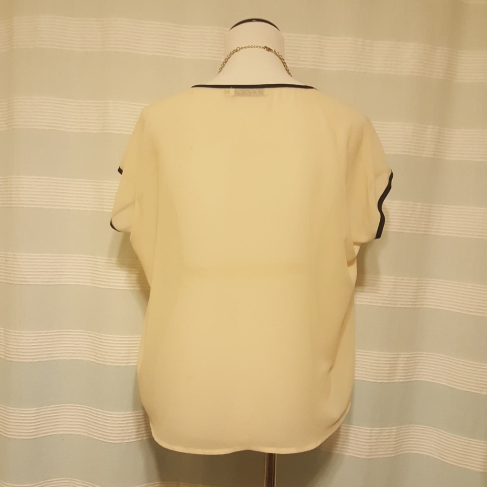 Sheer Beige Blouse - image 3